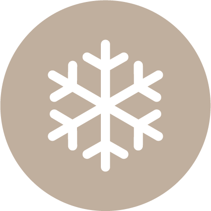 Snowflake